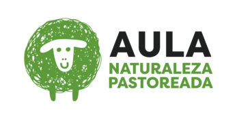 logo aula np2