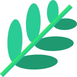 branch