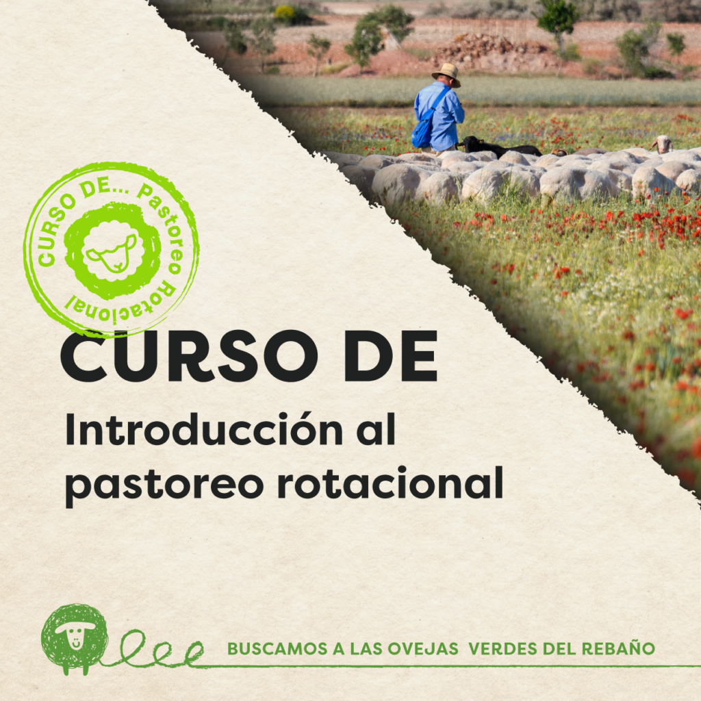 web curso pastoreo 1260x1260