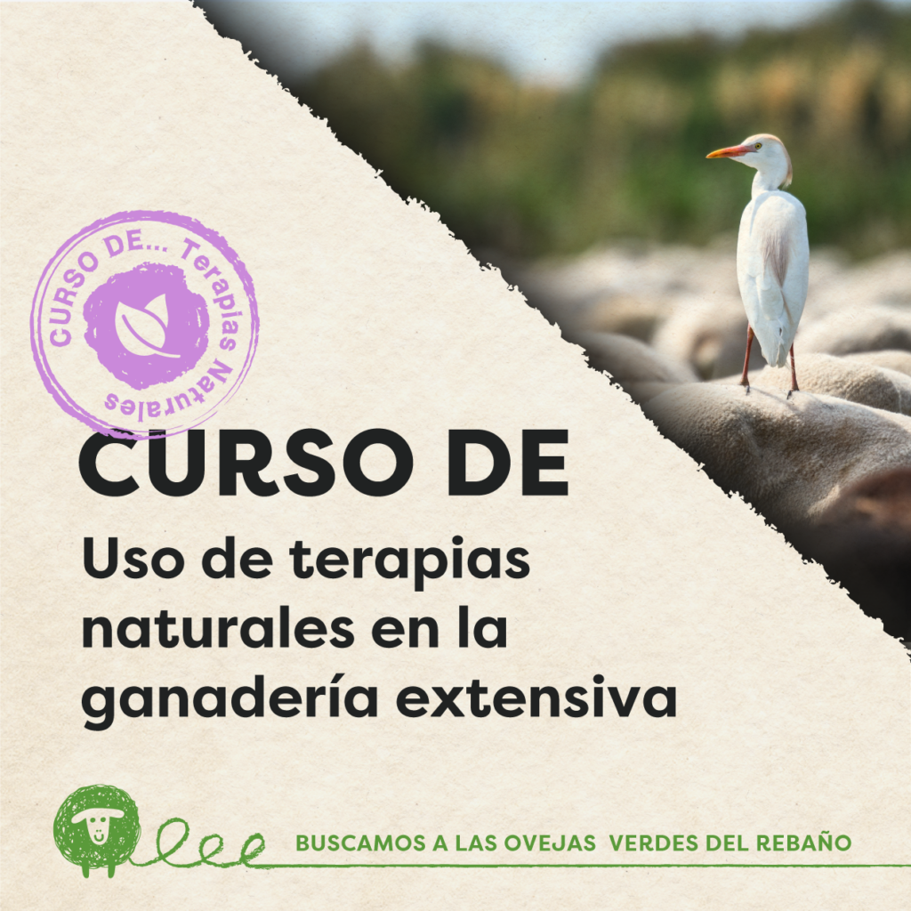 web curso terapias 1260x1260
